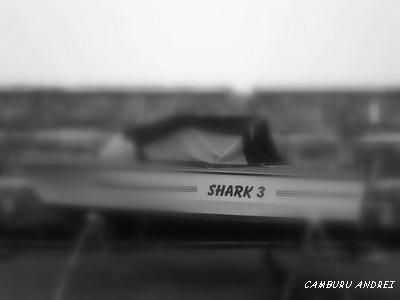 Shark